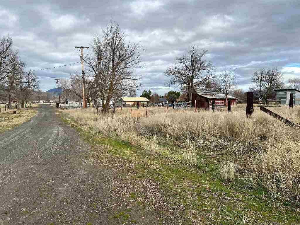 Picture 10