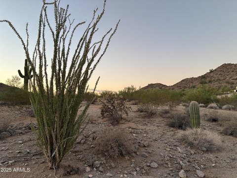 San Tan Valley Land Parcel