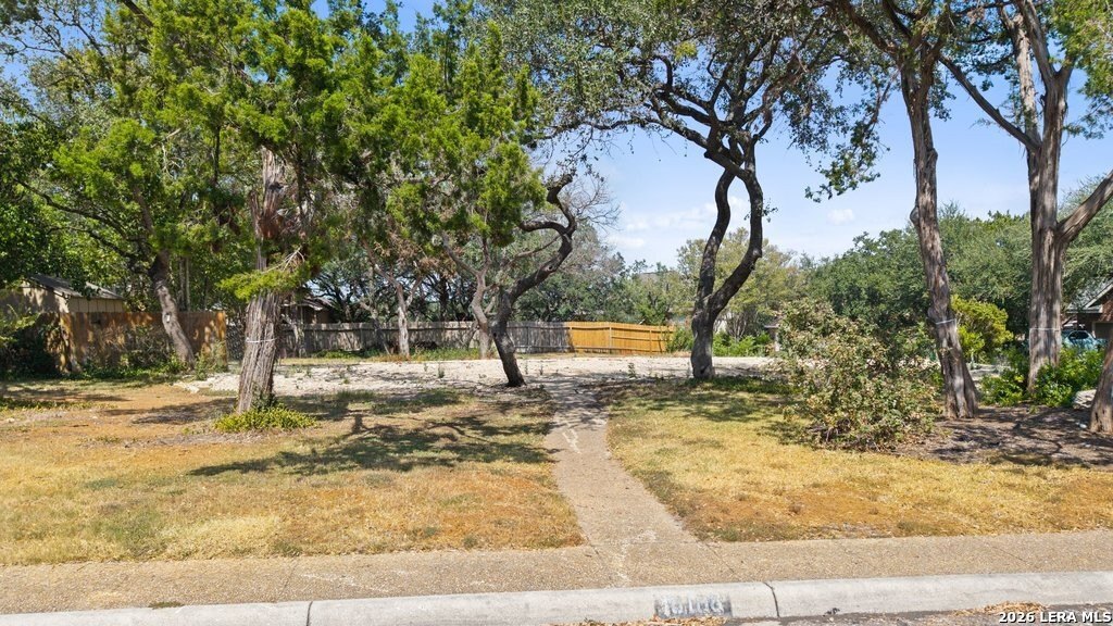 Picture 4