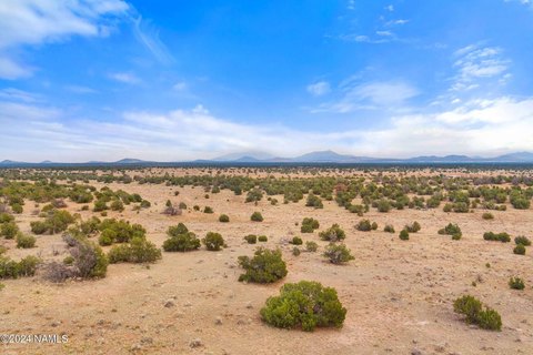 12-Acre Lot in South Rim Ranch