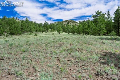 Colorado Mountain Land For Sale