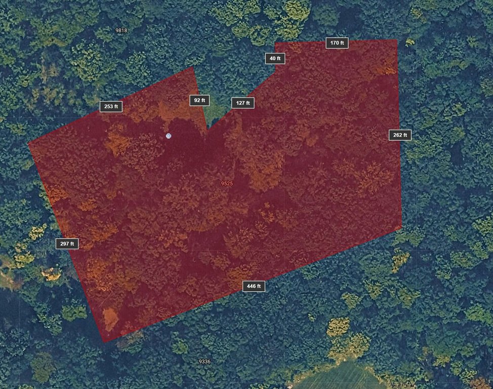 Picture 4