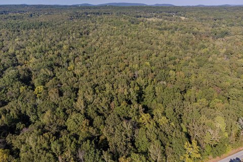 Wooded Lot Near Little Rock