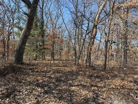 Land, Baldwin, MI