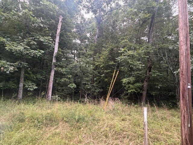 Picture 4