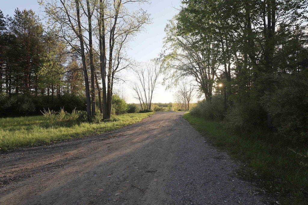 Picture 27