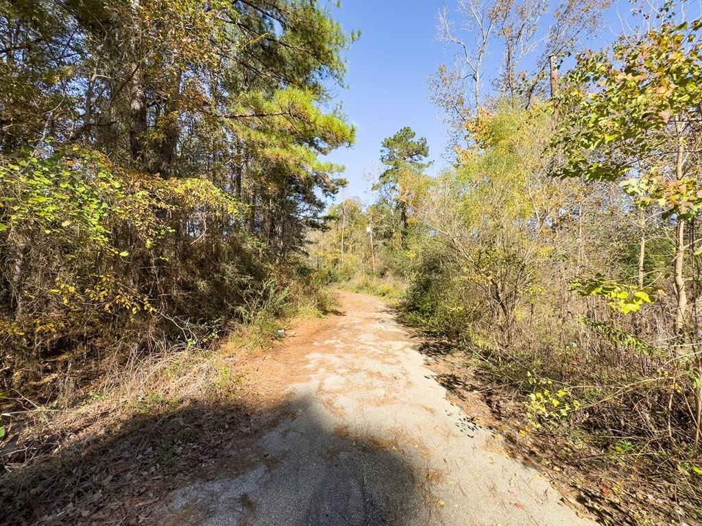Picture 5