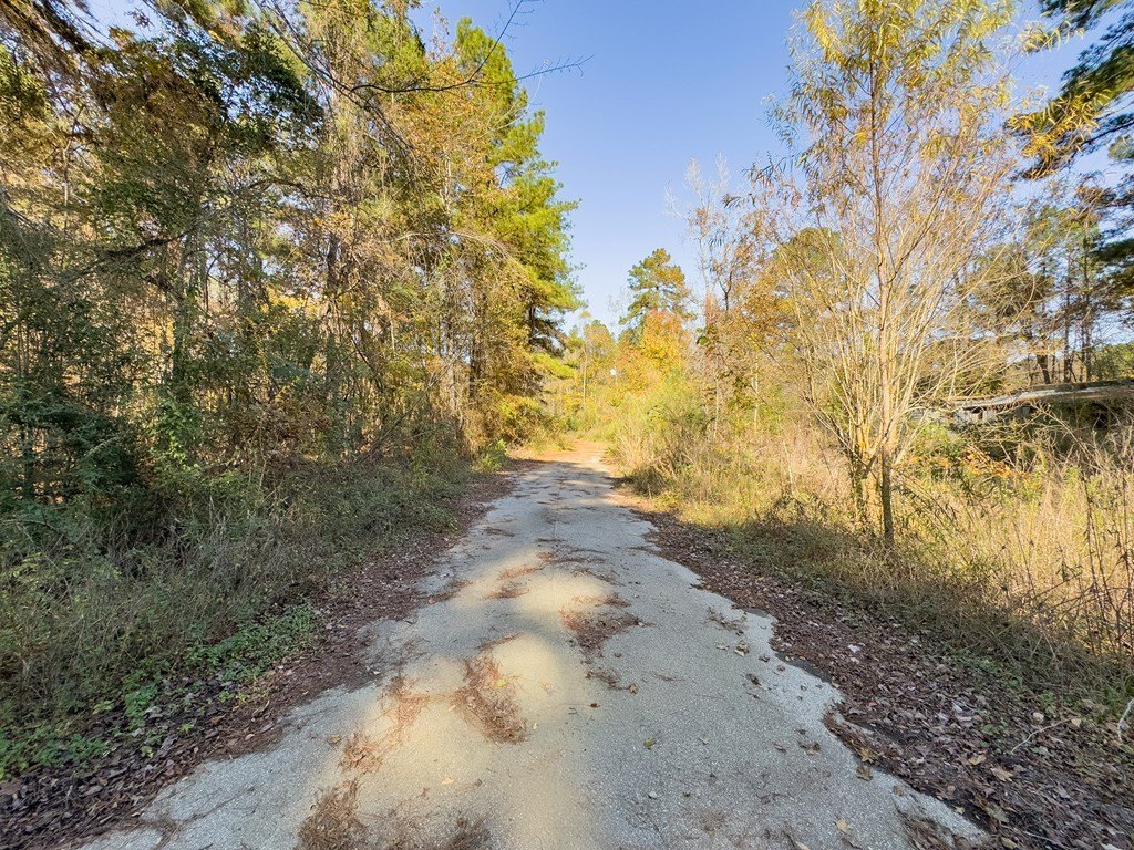 Picture 3