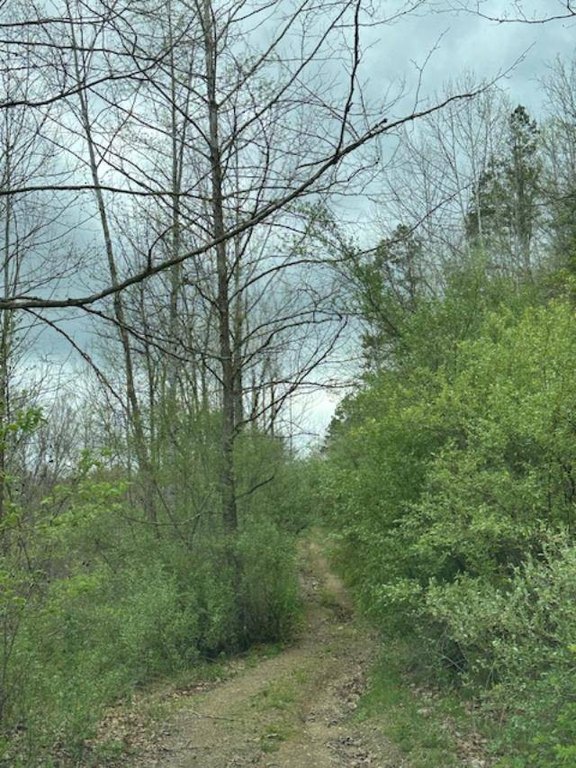 Picture 68