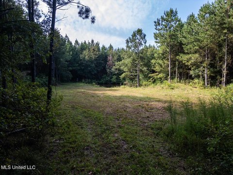 Secluded Hunting Land with Amenities