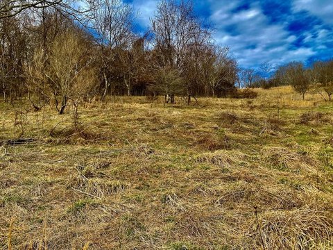 Commercial Land Near Main Street