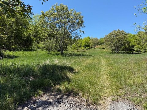 Commercial Land Near Main Street
