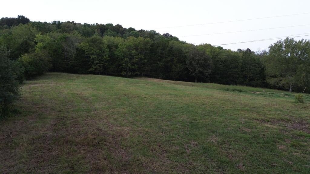 Picture 11