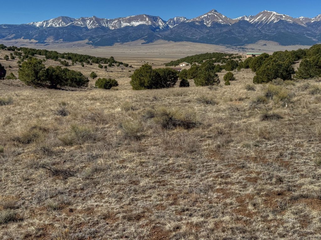 Picture 22