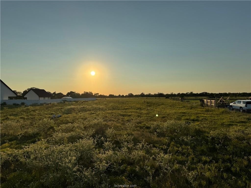 Residential Land in Iola, TX