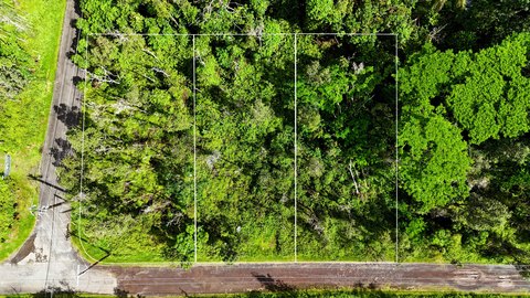 Land, Pahoa, HI