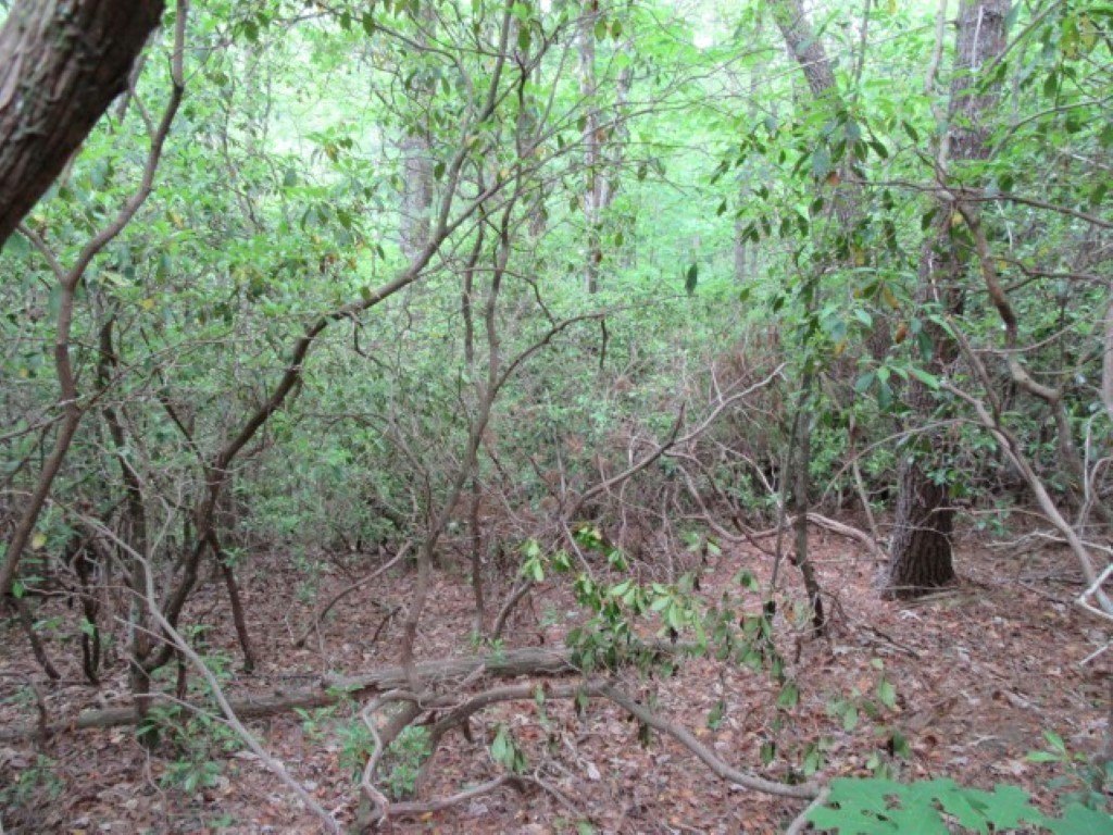 Picture 4