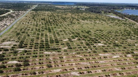 Agricultural Land Near Golf Community