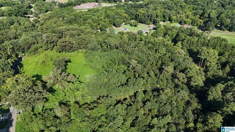 LAND/LOTS, FULTONDALE, AL