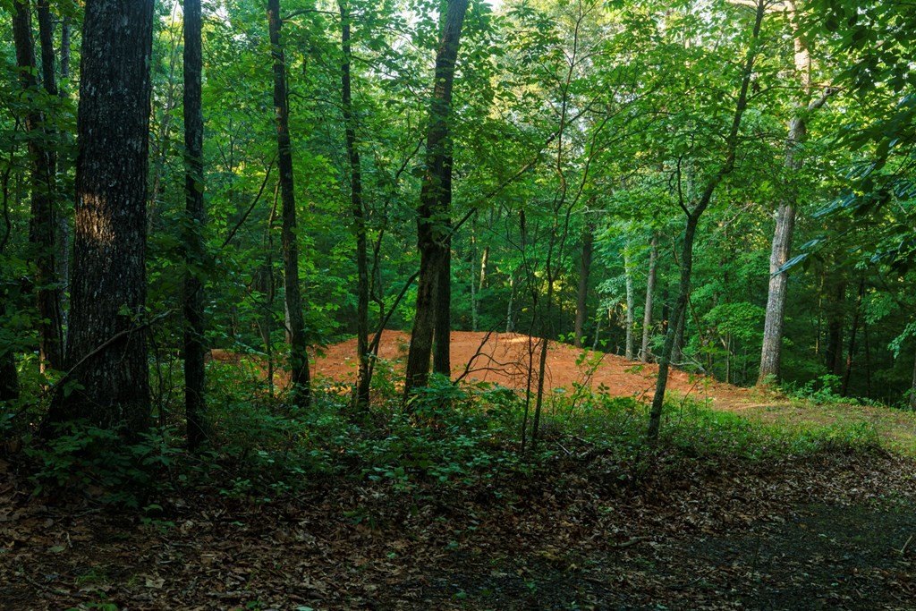 Picture 24