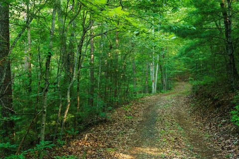 LAND - Murphy, NC