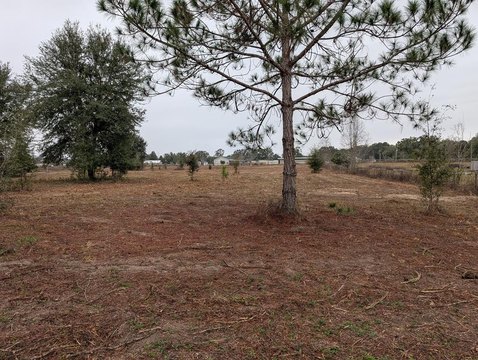Trenton, FL Vacant Land