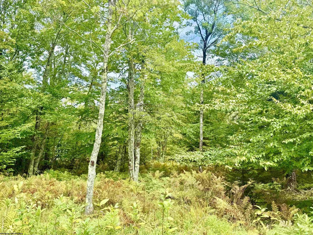 Picture 4