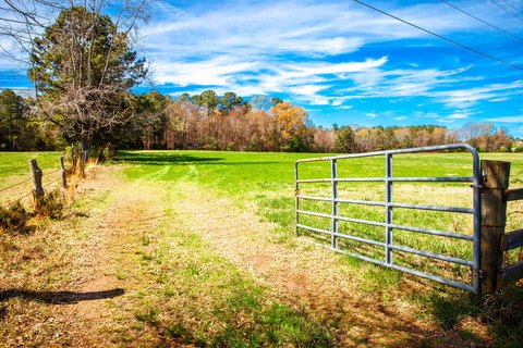Appling, GA Land For Sale