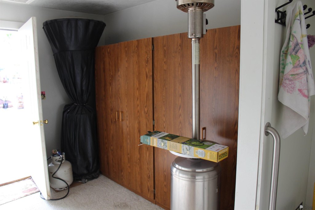 Picture 7