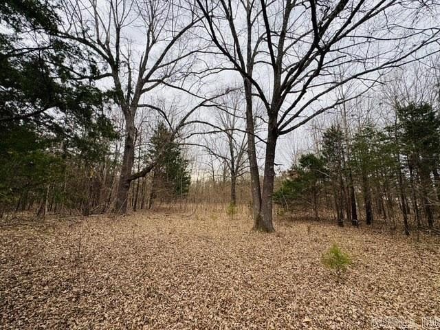 Mountain Home Land Opportunity