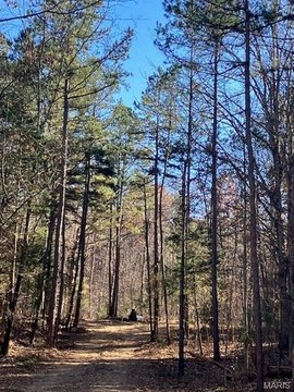 LAND - Fredericktown, MO