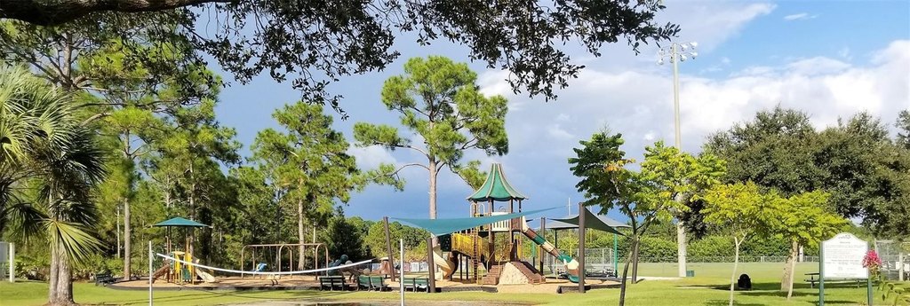 Picture 19