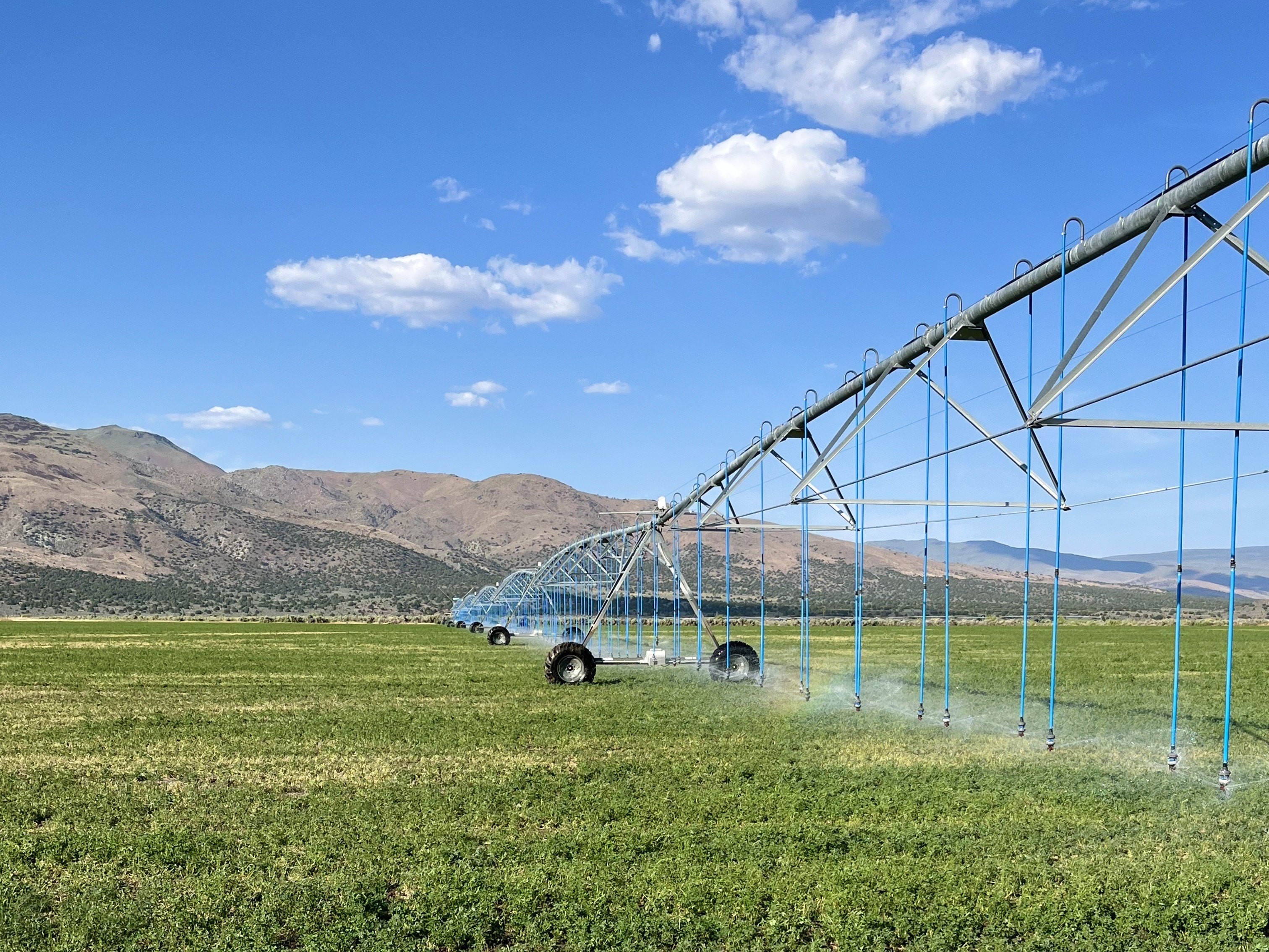 Historic Ranch Land Near Reno
