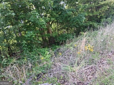 Residential Lot Near Lake Lanier