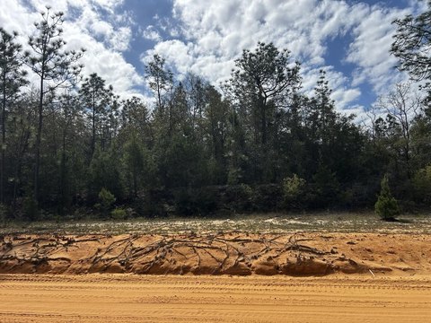 Buildable Lot in Sunny Hills