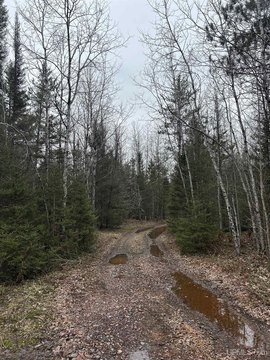 VACANT LAND, Gwinn, MI