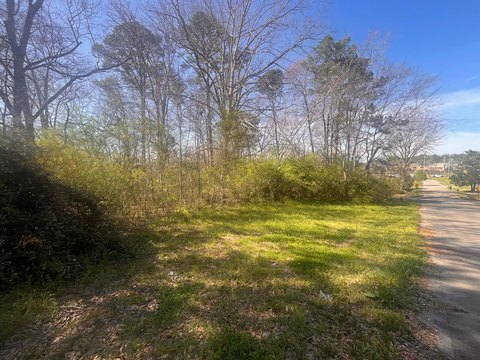 Land in Downtown Jasper