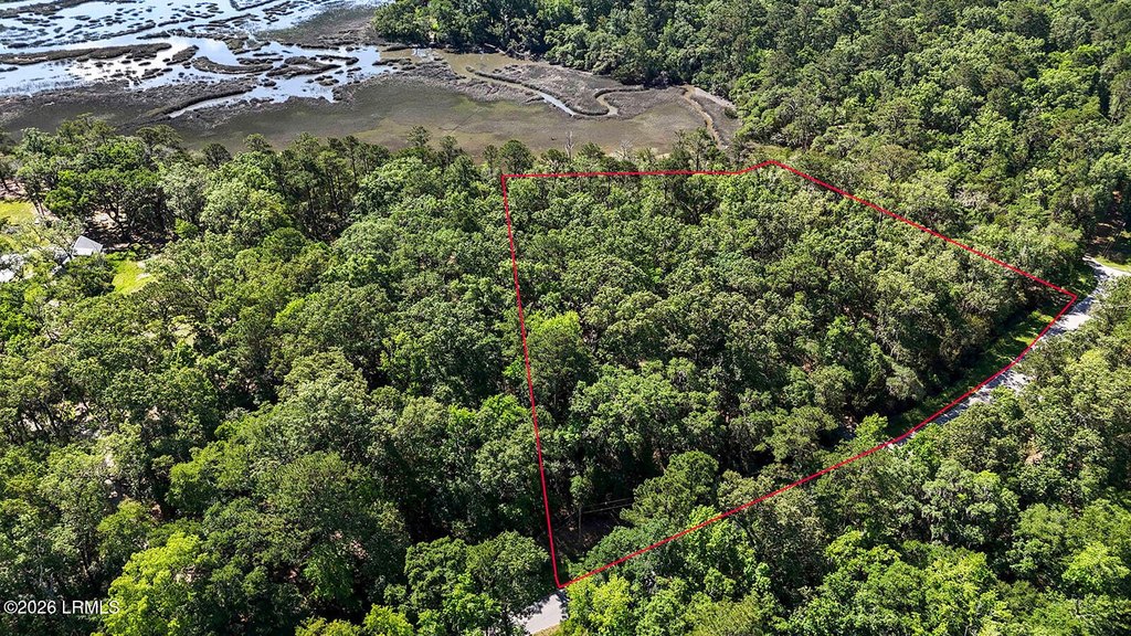 Picture 13