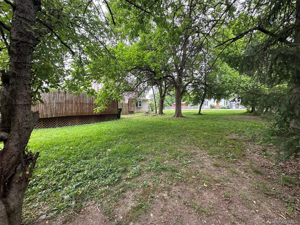 Picture 45