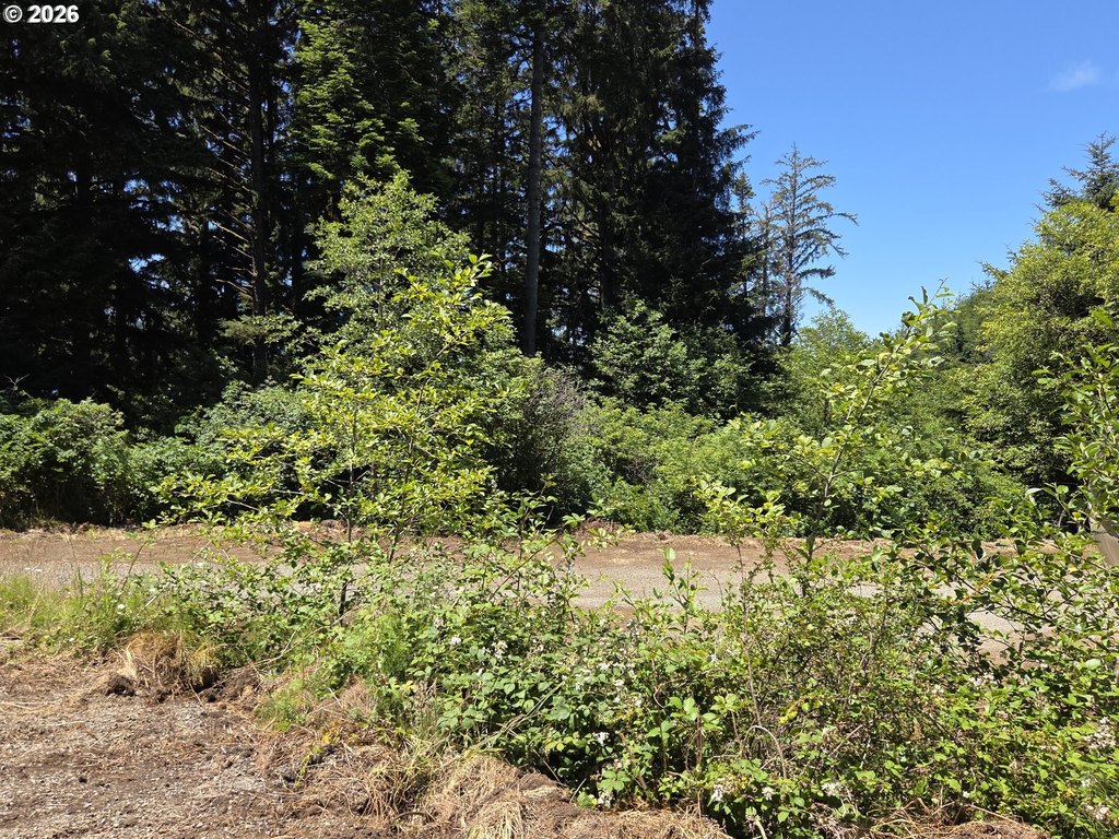 Picture 21