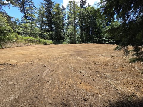 LAND - GoldBeach, OR