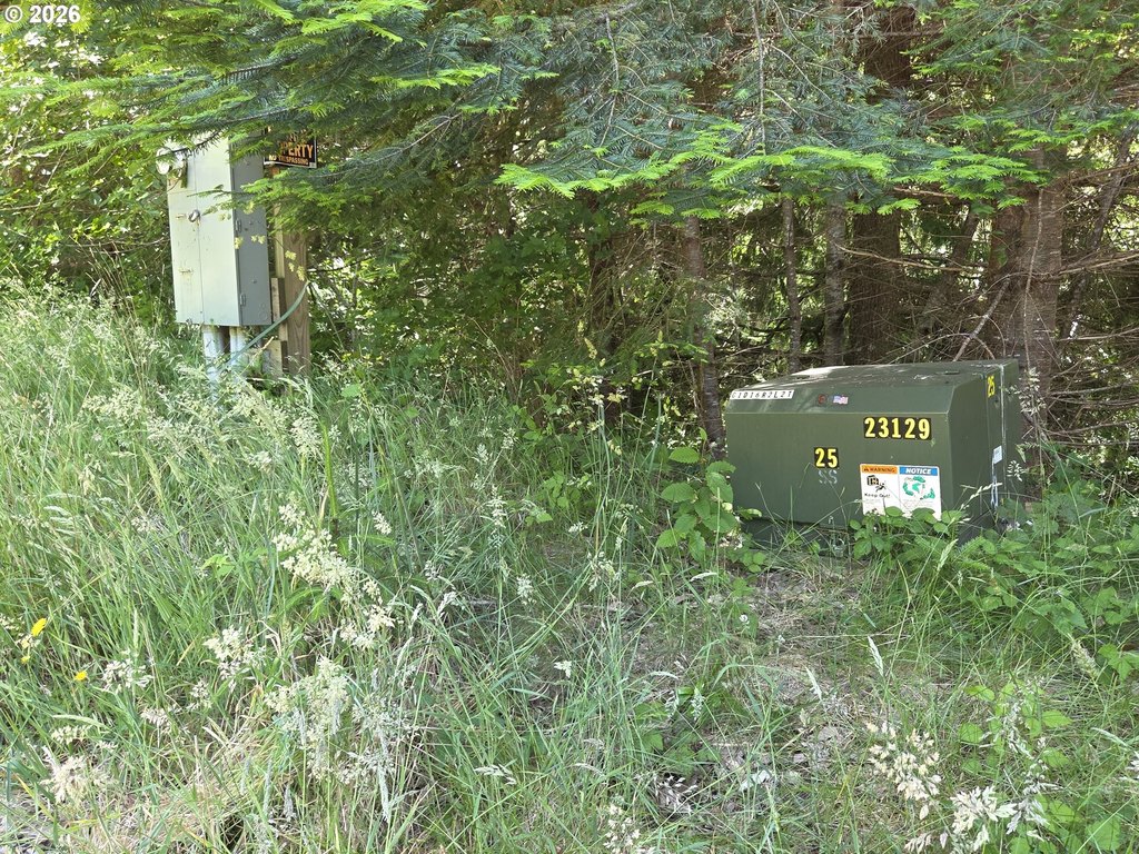 Picture 8