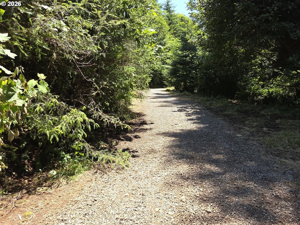 Picture 22