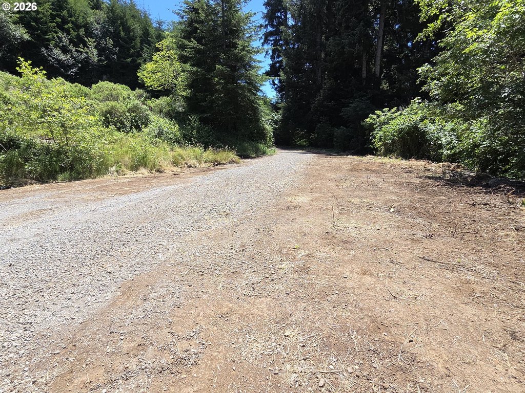 Picture 17