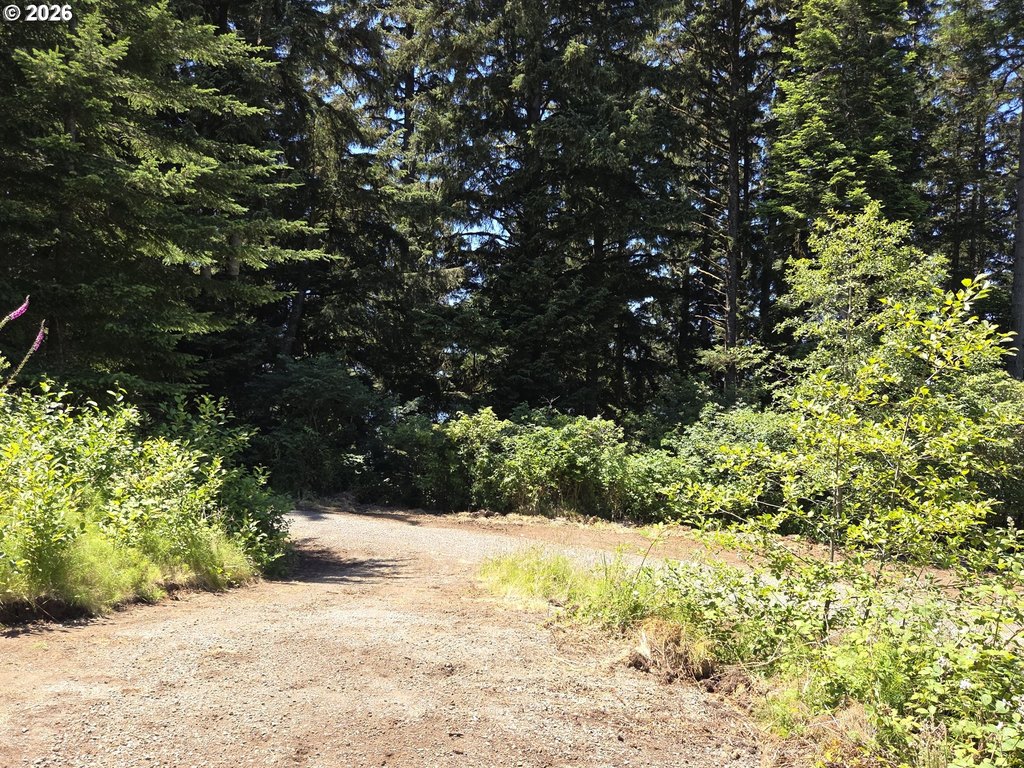 Picture 20