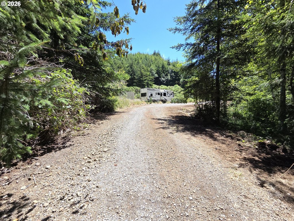 Picture 15