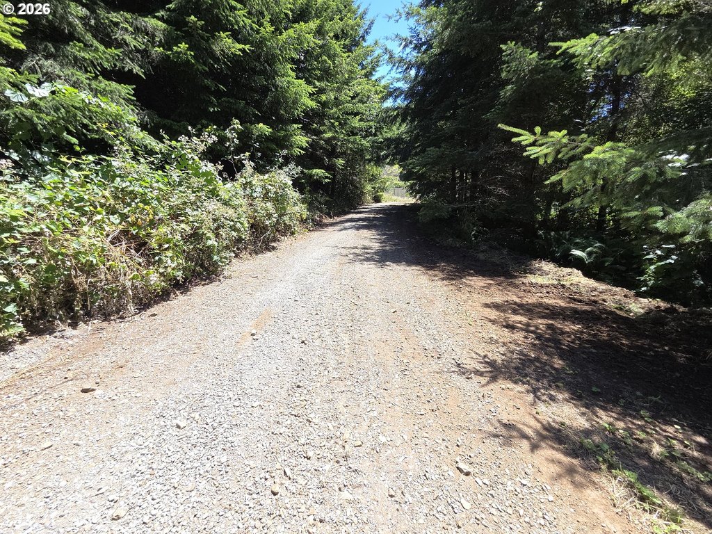 Picture 14