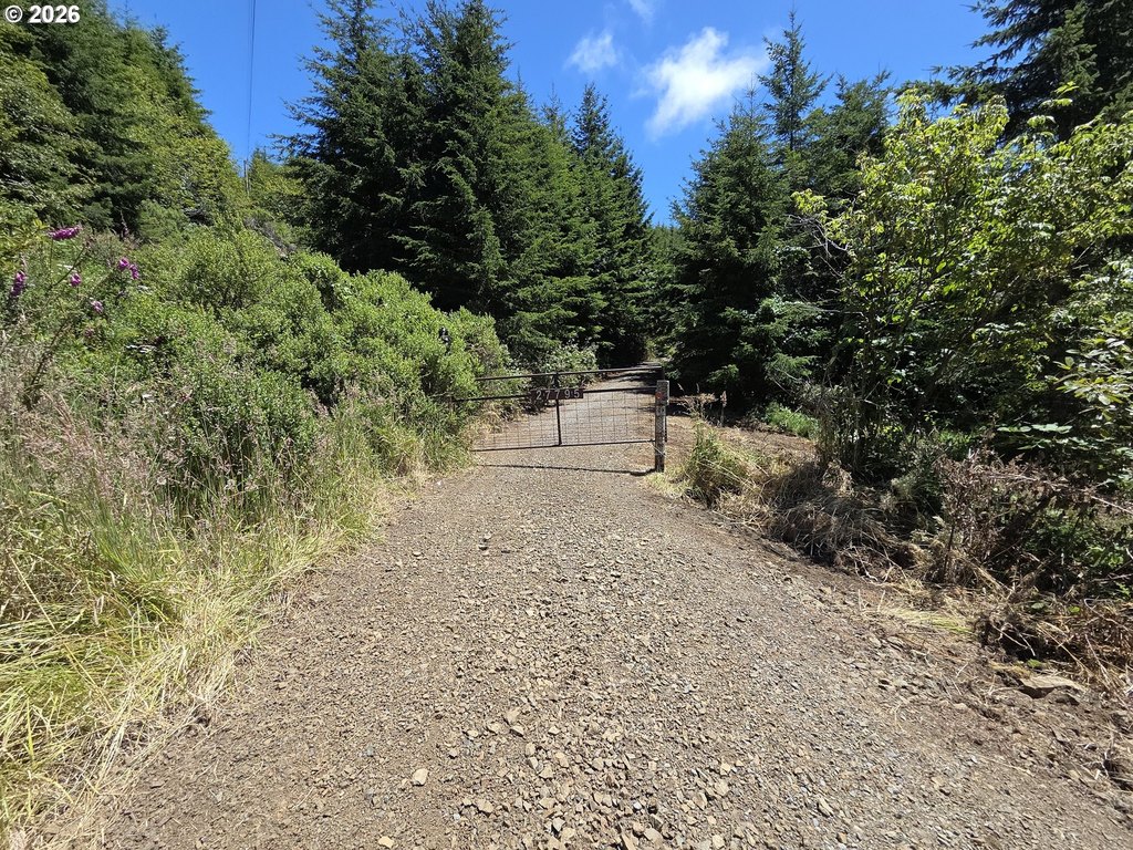 Picture 10