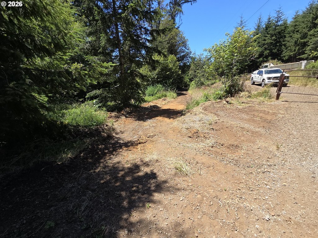 Picture 12
