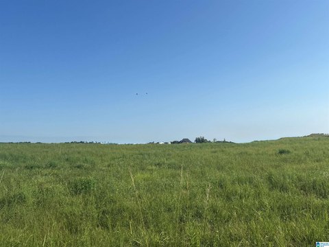LAND/LOTS, CULLMAN, AL